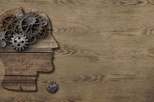brain